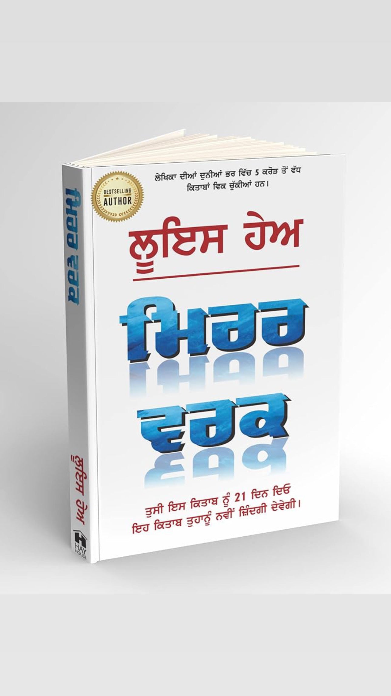 Mirror work ( Punjabi )