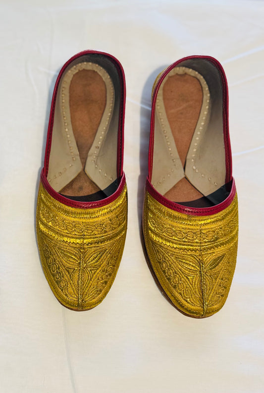 Punjabi Jutti 1